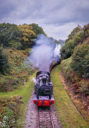 Lambton Tank No. 29 'Peggy' At Beck Hole