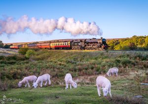 Last Light As A Black 5 Steams across The North Yorkshire Moors