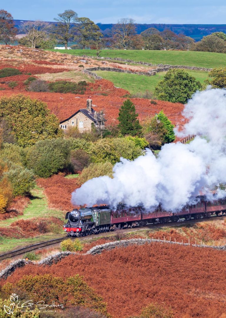 60103 Flying Scotsman On The North Yorkshire Moors Railway