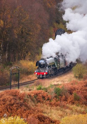 An Autumn Morning At Fen Bog As Flying Scotsman Locomotive Approaches