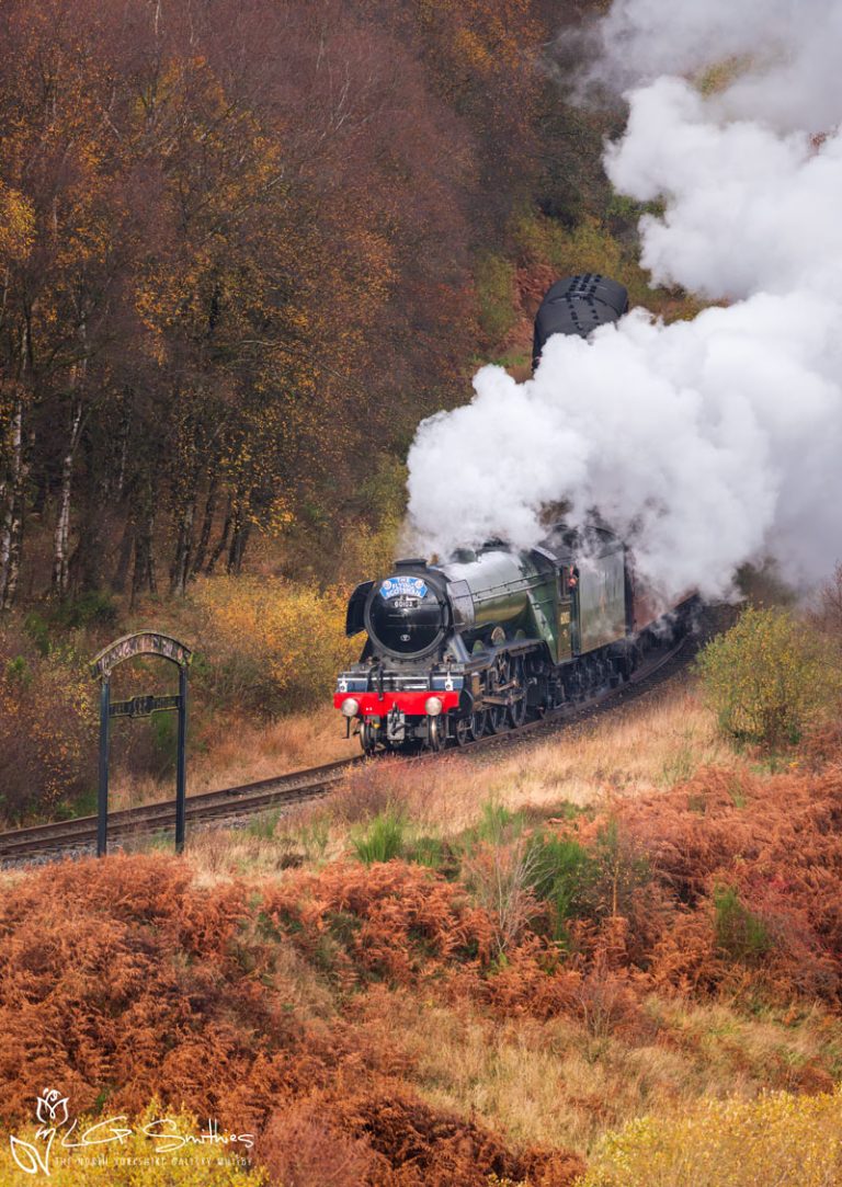 An Autumn Morning At Fen Bog As Flying Scotsman Locomotive Approaches