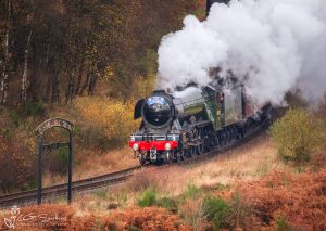 Autumn At Fen Bog As The Flying Scotsman Steams Through