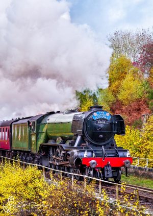 Autumn On The NYMR As Flying Scotsman Steams Through