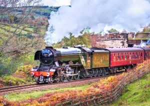 Flying Scotsman Under The Iron Bridge At Greenend