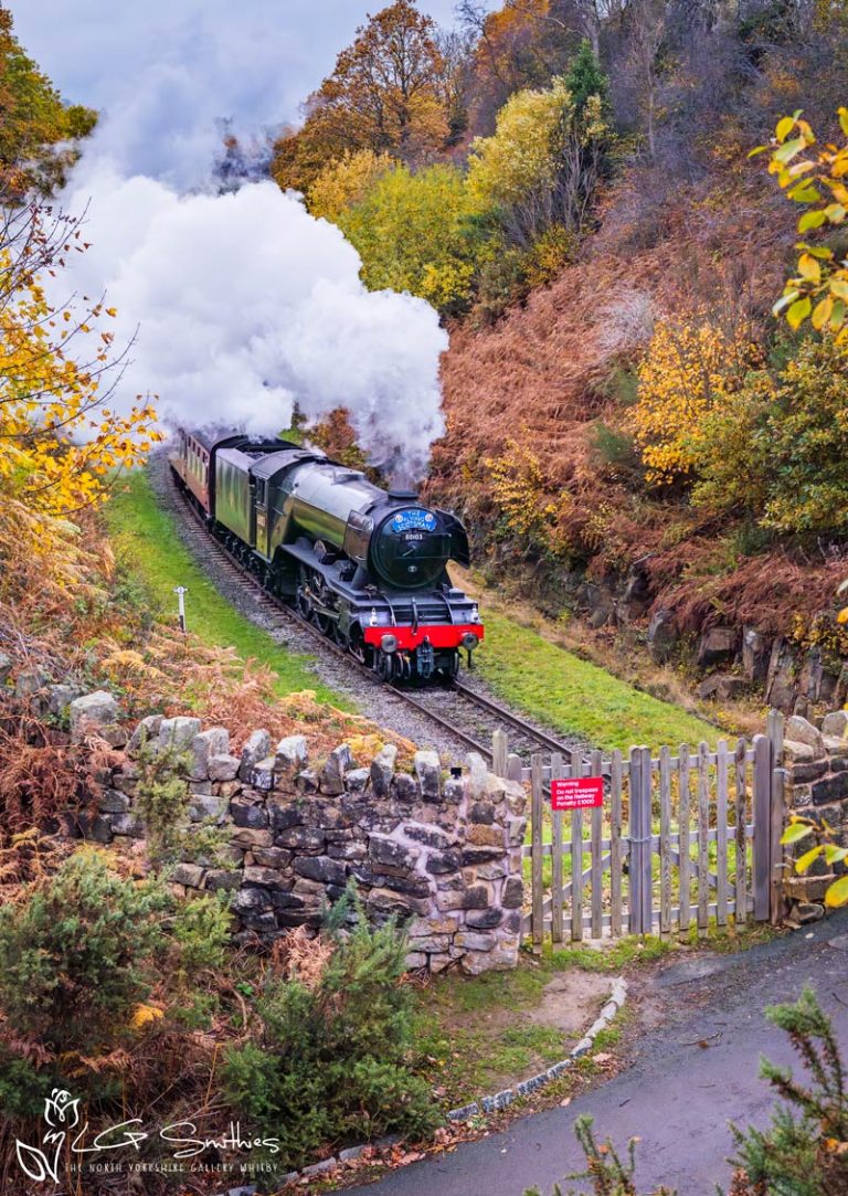 Flying Scotsman 60103 At Bridge 33 Beck Hole NYMR