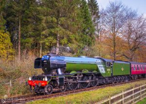 Flying Scotsman At Little Park Wood NYMR