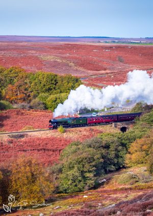 Flying Scotsman Engine On The NYMR