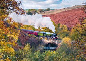 Flying Scotsman Locomotive On The NYMR