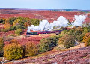 Flying Scotsman Number 60103 Cutting Through The NYMR