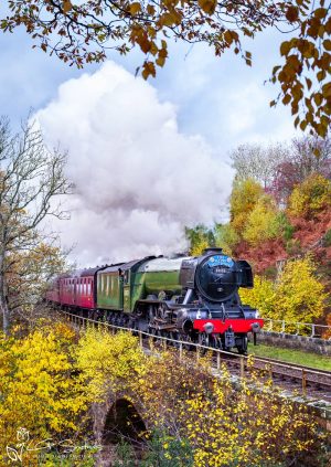 Flying Scotsman Steam Engine At Bridge 32 NYMR