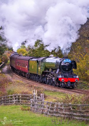 Steam Loco 60103 Flying Scotsman On The NYMR