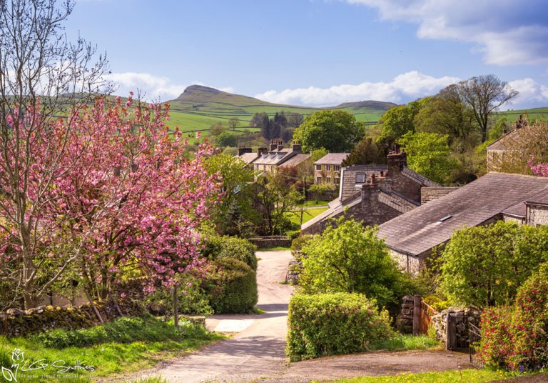 Stainforth Cottages in Spring Sunshine