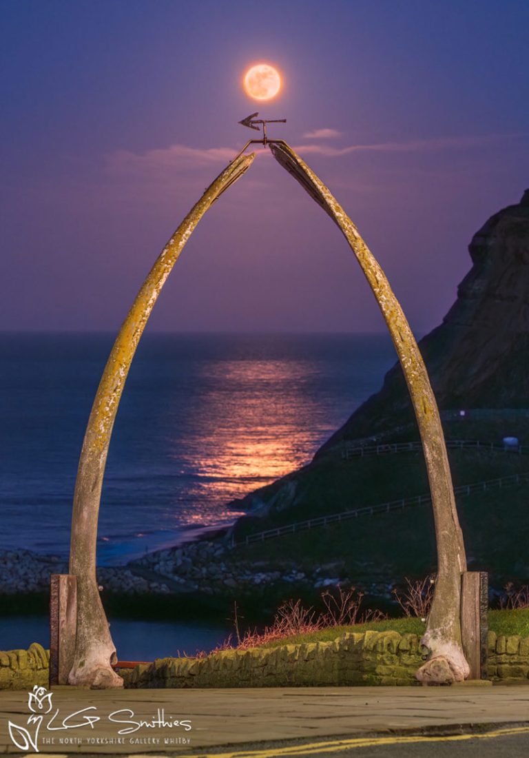 Warm Moonrise Over Whitby Whalebones