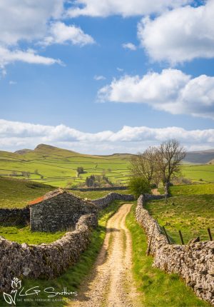 Yorkshire Dales Landscape at Goat Scar Lane