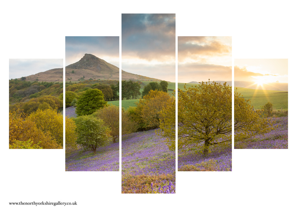 Sunrise Over Roseberry Topping And The Bluebells 5PCS Wall Art