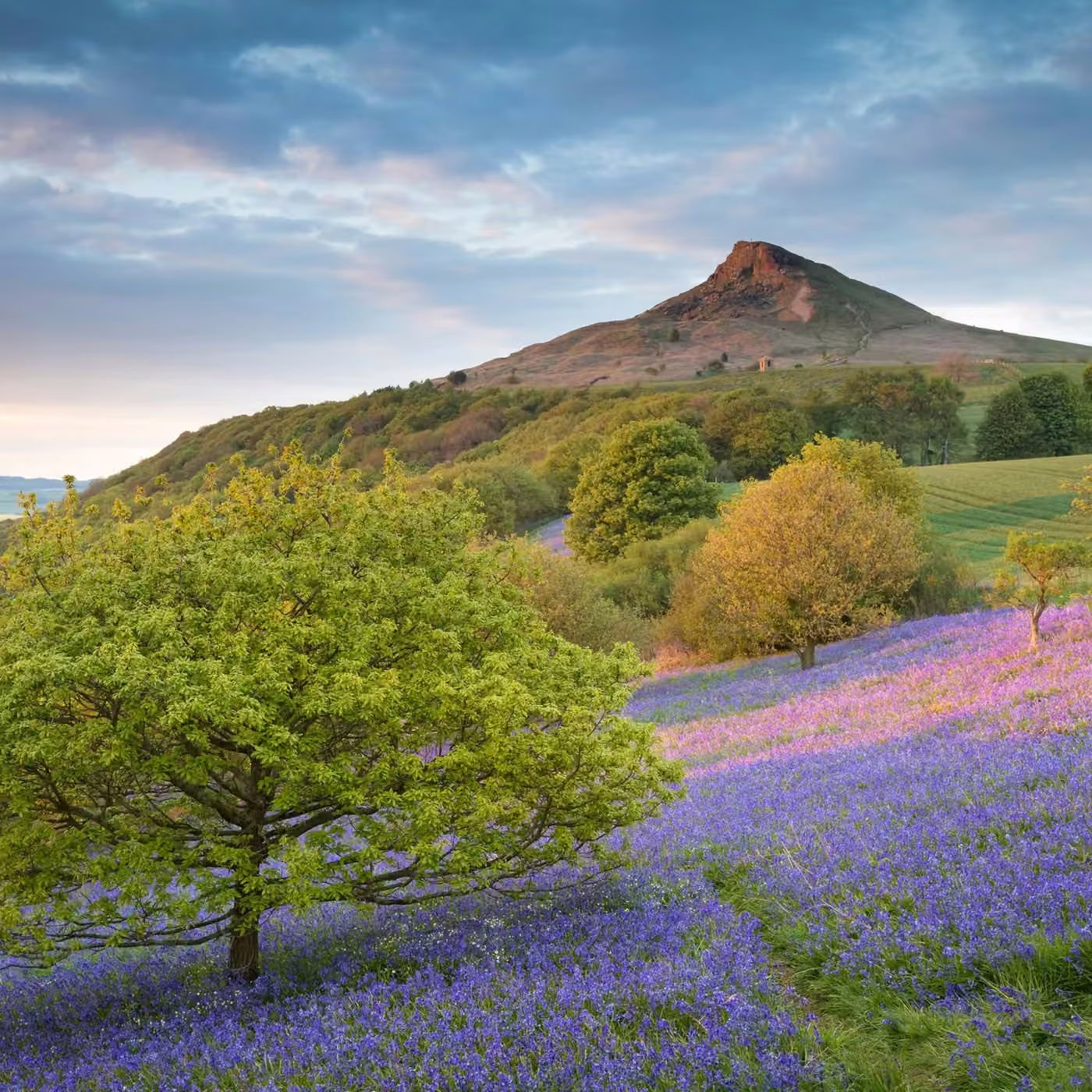 Bluebells At Roseberry Topping Glass Coaster 2 Bluebells At Roseberry Topping Glass Coaster Design