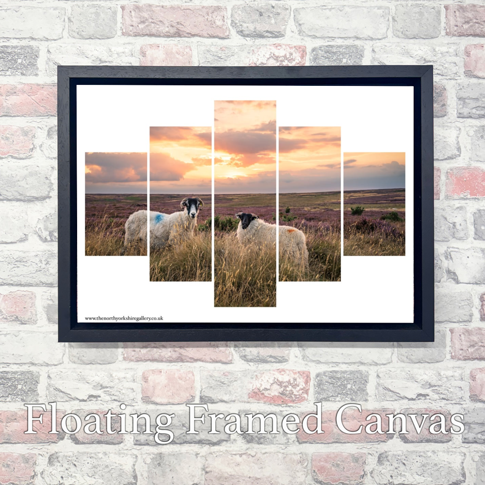 Sheeps On The Danby Moor At Sunset 5 PCS Wall Art 7 Sheeps On The Danby Moor At Sunset 5 PCS Wall Art Landscape Float Frame Canvas