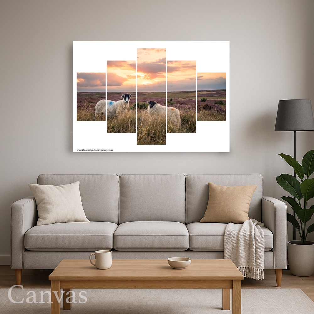Sheeps On The Danby Moor At Sunset 5 PCS Wall Art 2 Sheeps On The Danby Moor At Sunset 5 PCS Wall Art Wall Art For Living Room Landscape